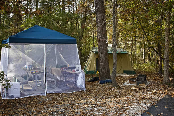 州立公园,公园,遮阳篷