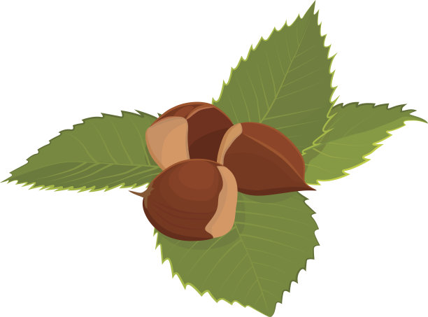 chestnut