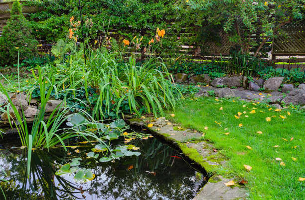 ponds