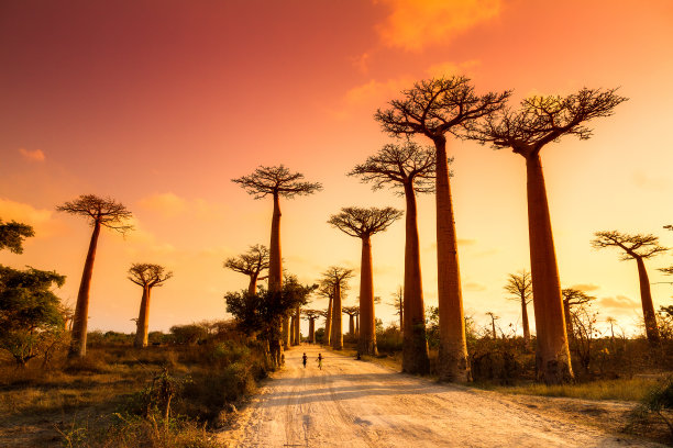 madagascar