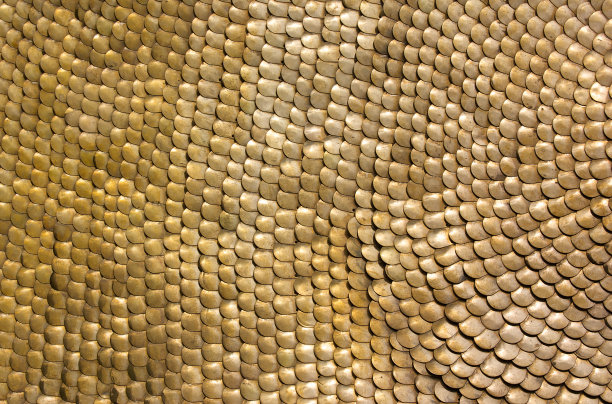 scale