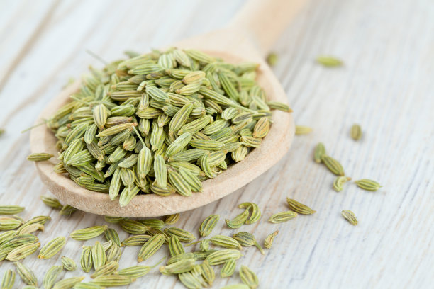 fennel