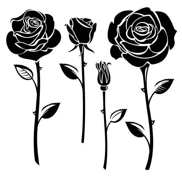 roses