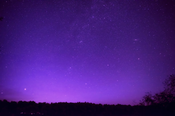 violet