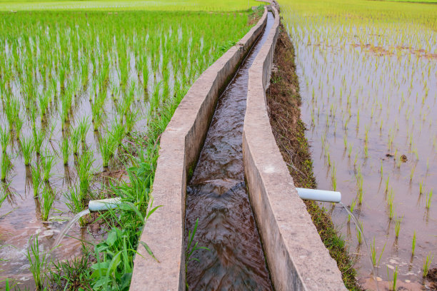 沟渠河道