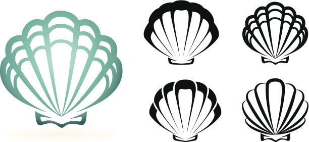 shells