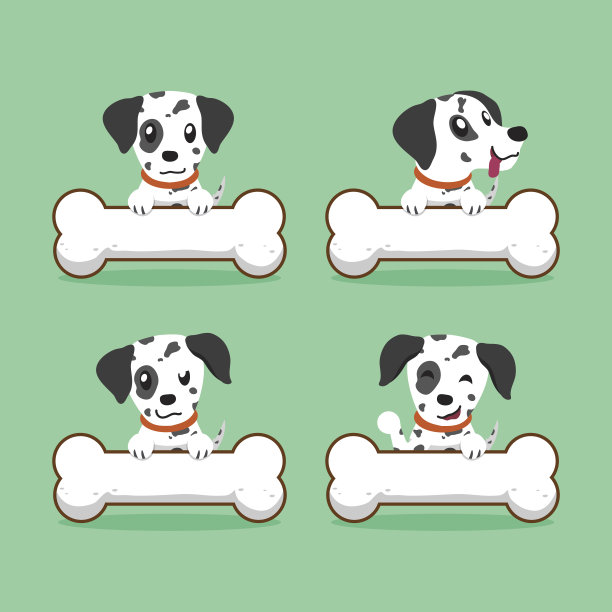 dalmatian