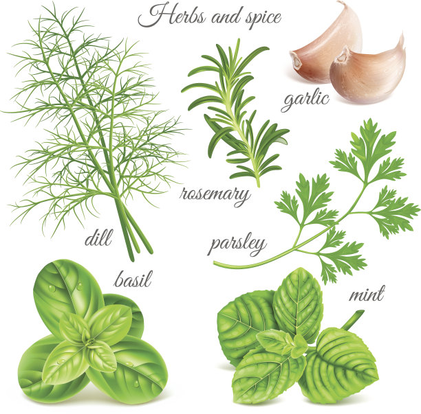 herb