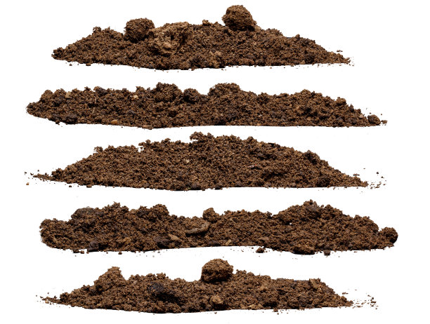 dirt