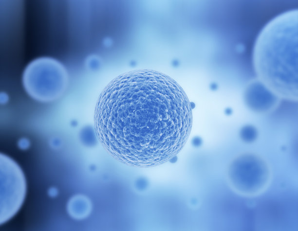 cell