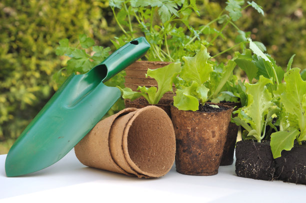 biodegradable