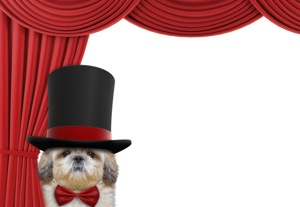 谢幕_ppt模板_word文档_表格模板下载_wps稻壳儿