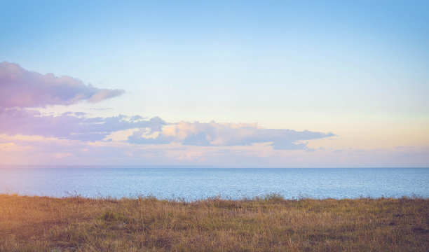 飞鸟蓝色大海壁纸