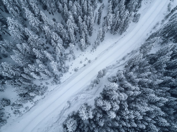 白雪覆盖