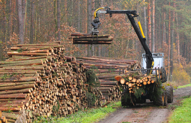 伐木搬运业