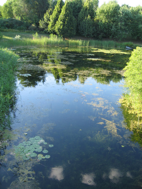 monet