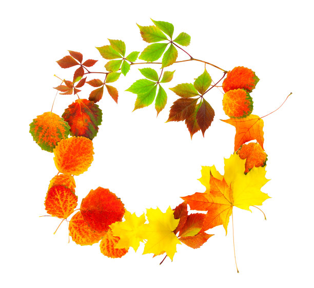 复古装饰品,红色和金色颜色