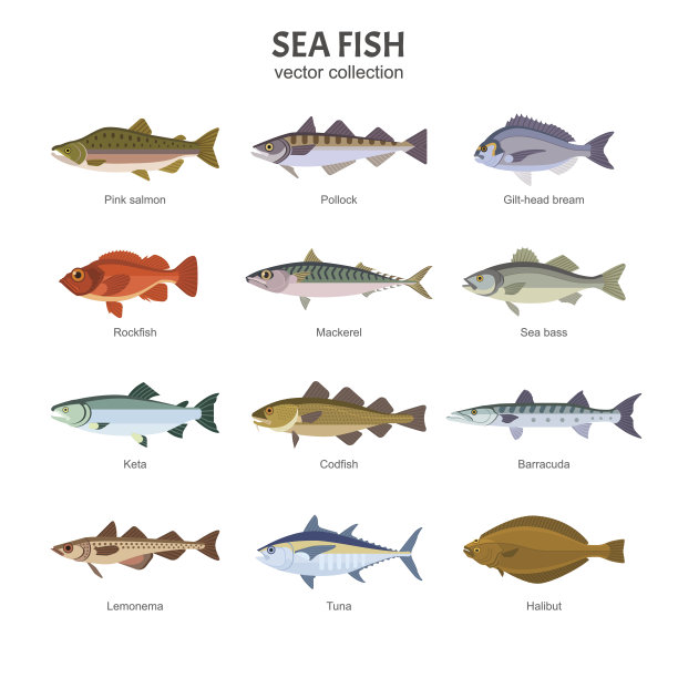 海洋生物鱼类