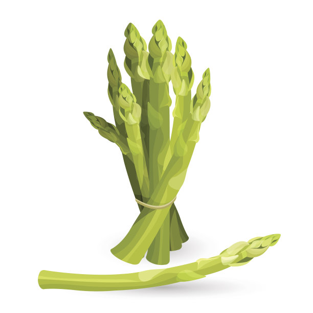 asparagus