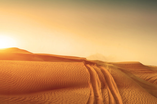 desert