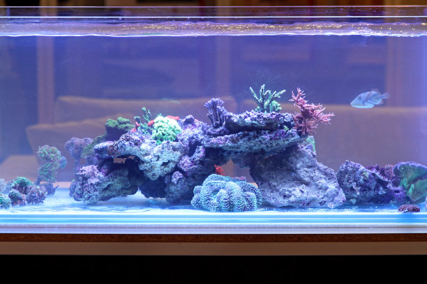 aquarium
