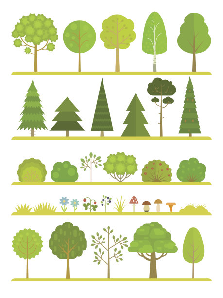 园林景观植物