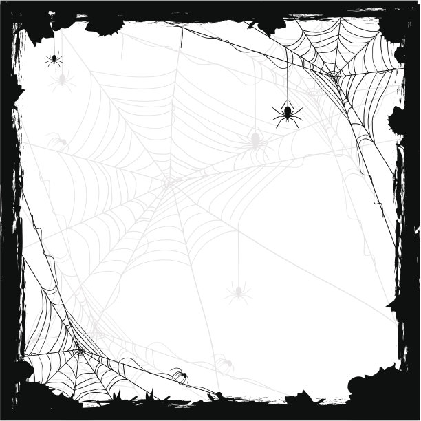 spider