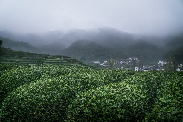 zhejiang