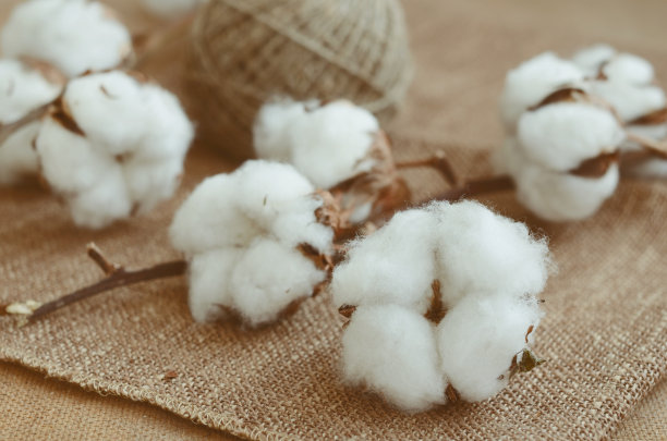 cotton