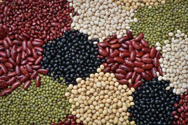 bean