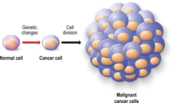 cell