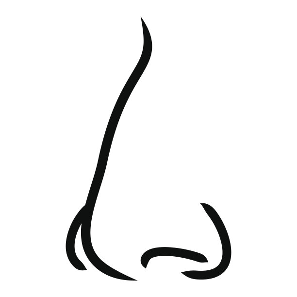 nose