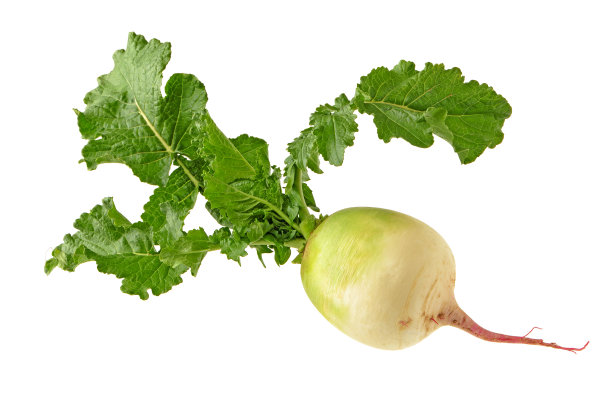 radishes