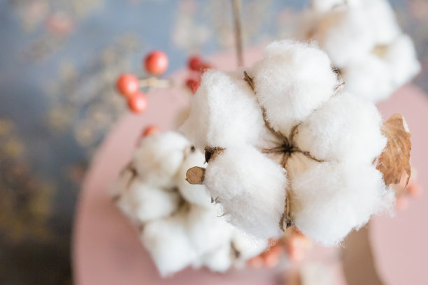 cotton