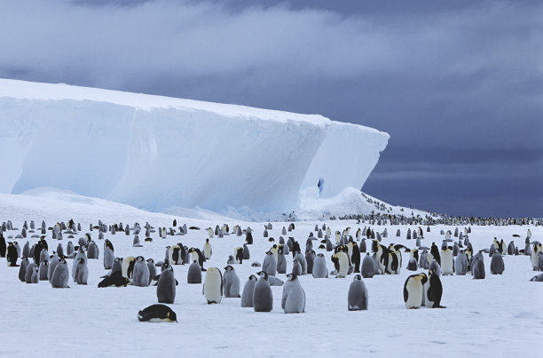 climate