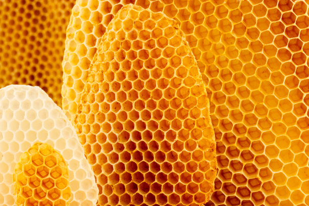 honeycomb