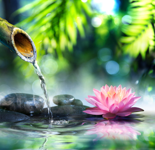 zen