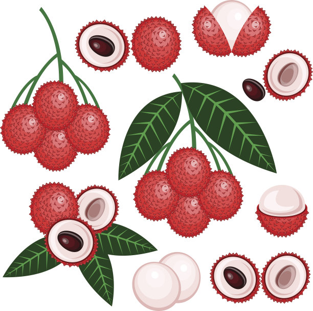litchi
