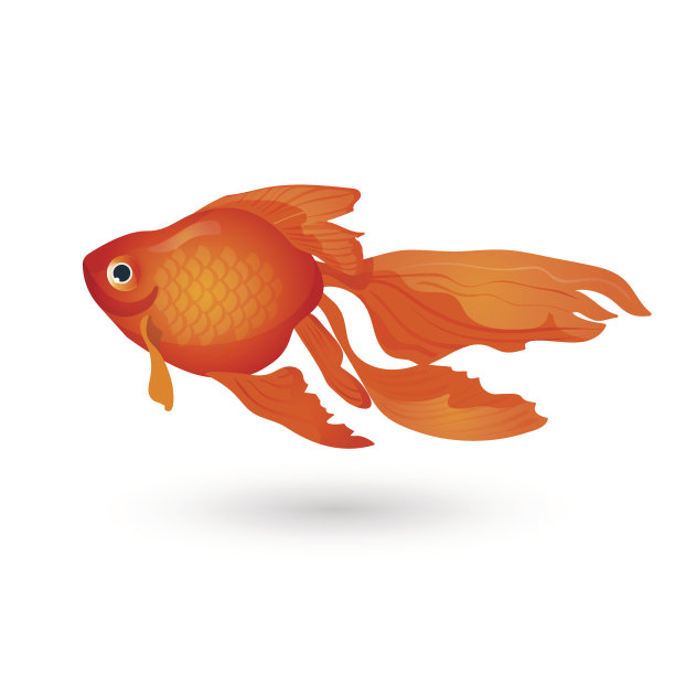carassius