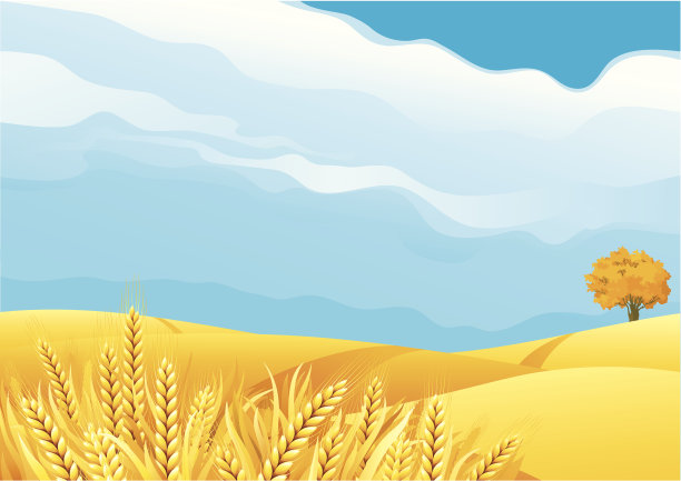 triticum