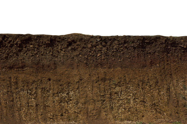 dirt