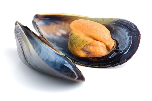 mussels