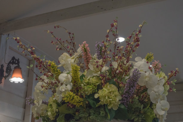 花,植物,红色