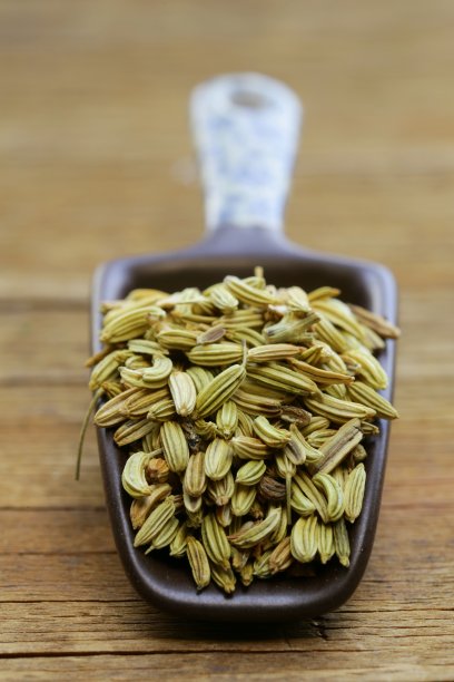 fennel
