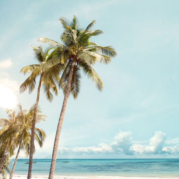 coconut