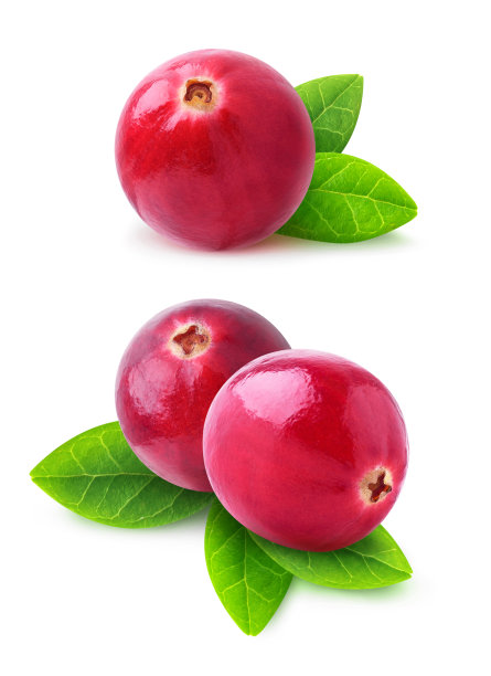 cranberry