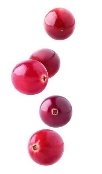 cranberry