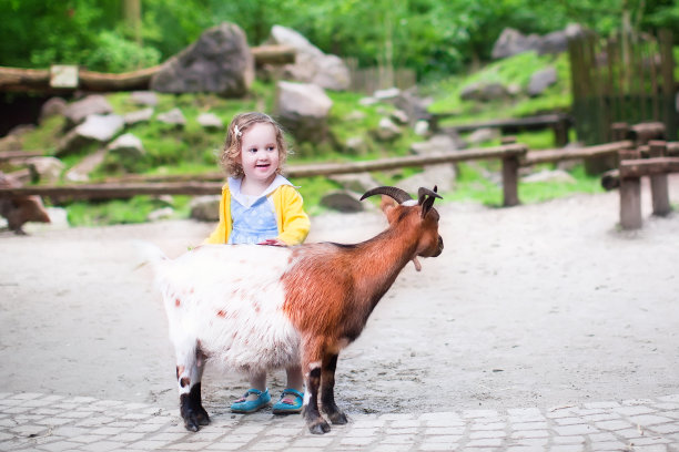 zoo