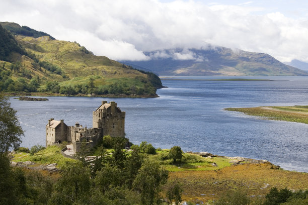 donan
