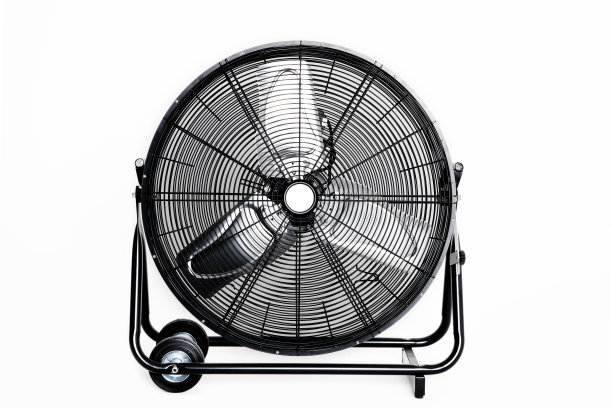fan